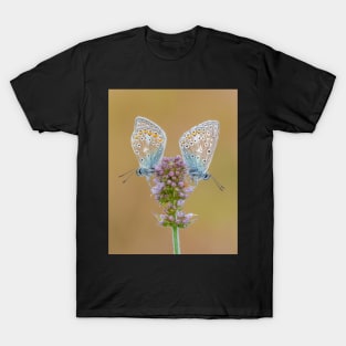 Two Common Blue Butterflies on Apple Mint Flower T-Shirt